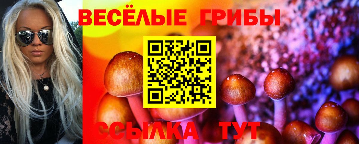 Псилоцибиновые грибы мухоморы Вятские Поляны