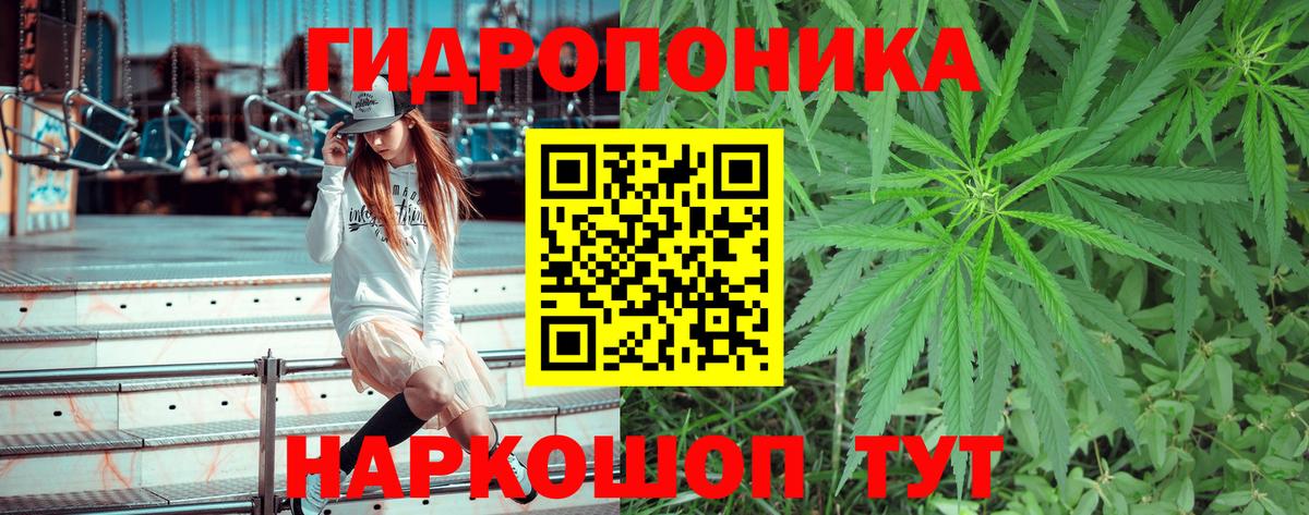 Конопля гибрид Вятские Поляны